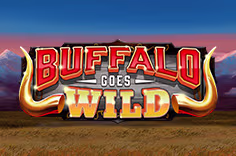 Buffalo Goes Wild