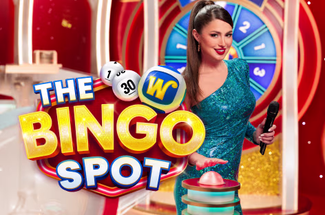 The Bingo Spot